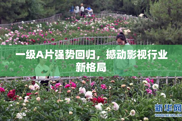 一级A片强势回归，撼动影视行业新格局