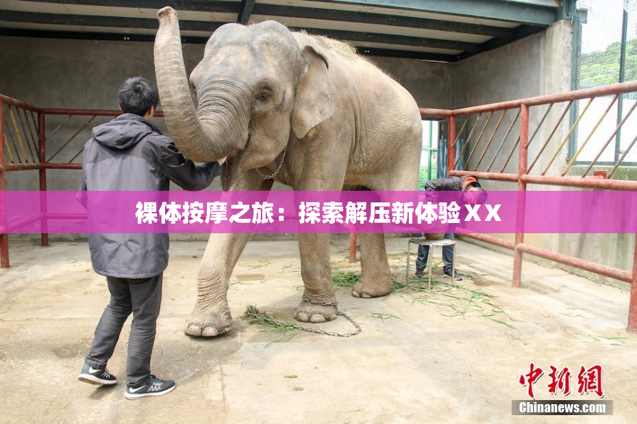 裸体按摩之旅：探索解压新体验ⅩX