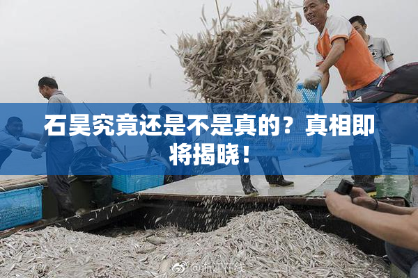 石昊究竟还是不是真的？真相即将揭晓！