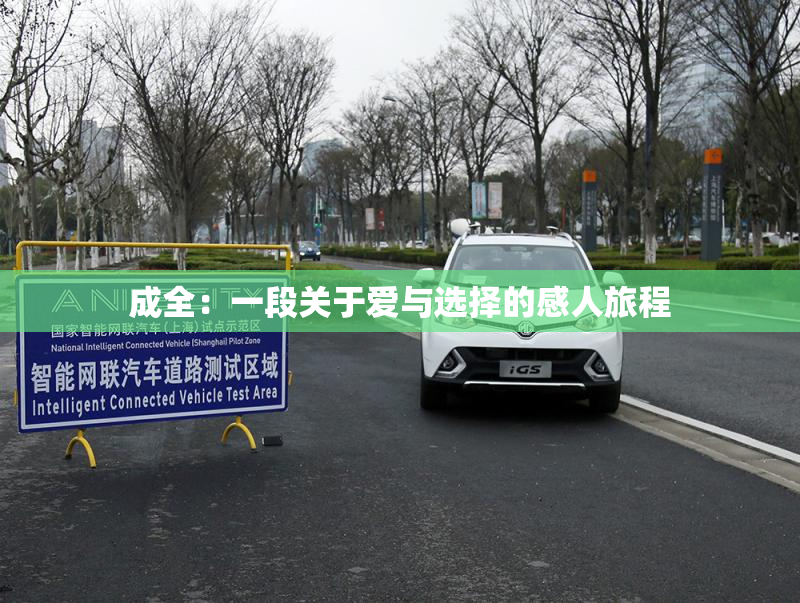 成全：一段关于爱与选择的感人旅程