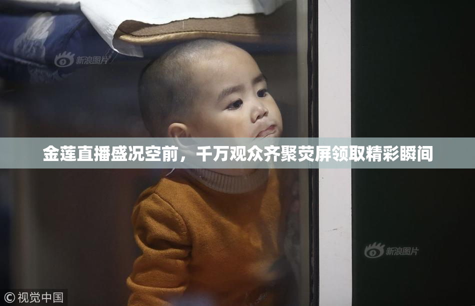 金莲直播盛况空前，千万观众齐聚荧屏领取精彩瞬间