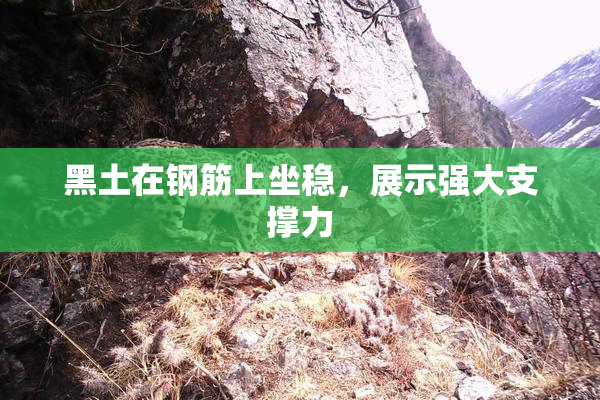 黑土在钢筋上坐稳，展示强大支撑力
