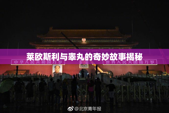 莱欧斯利与睾丸的奇妙故事揭秘