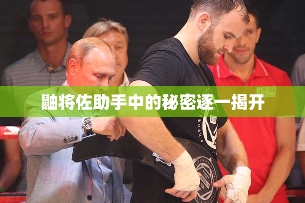 鼬将佐助手中的秘密逐一揭开