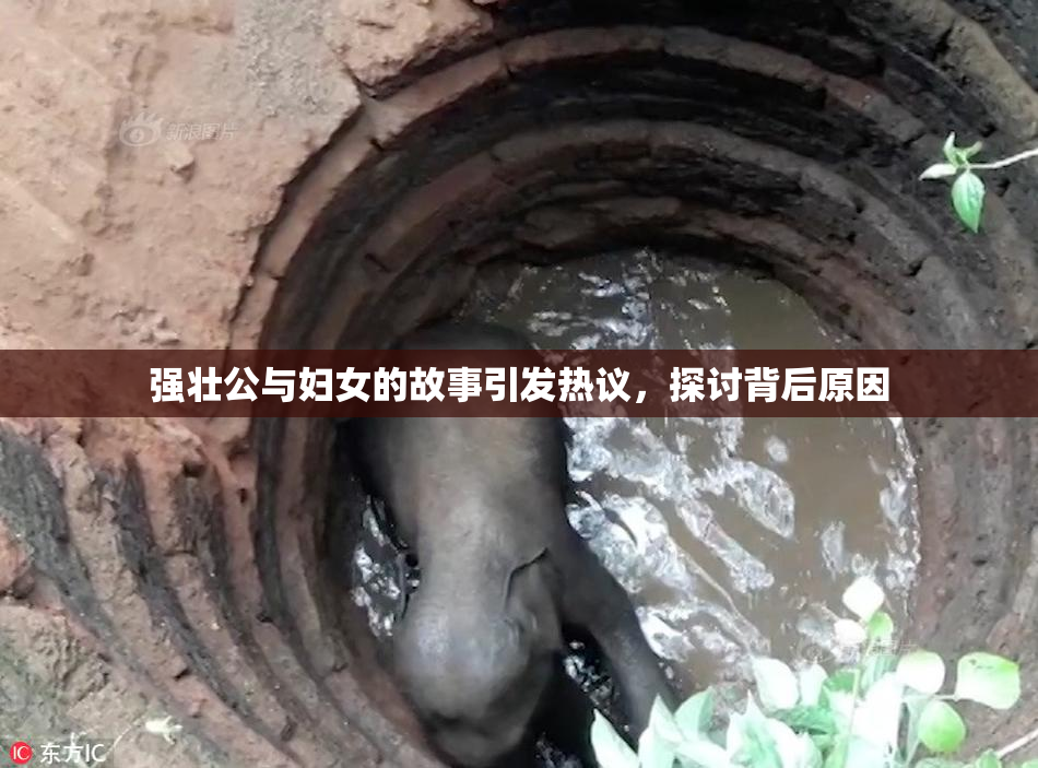 强壮公与妇女的故事引发热议，探讨背后原因
