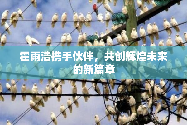 霍雨浩携手伙伴，共创辉煌未来的新篇章