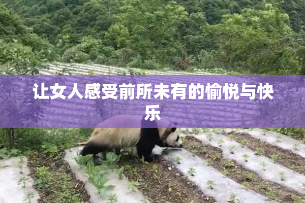 让女人感受前所未有的愉悦与快乐