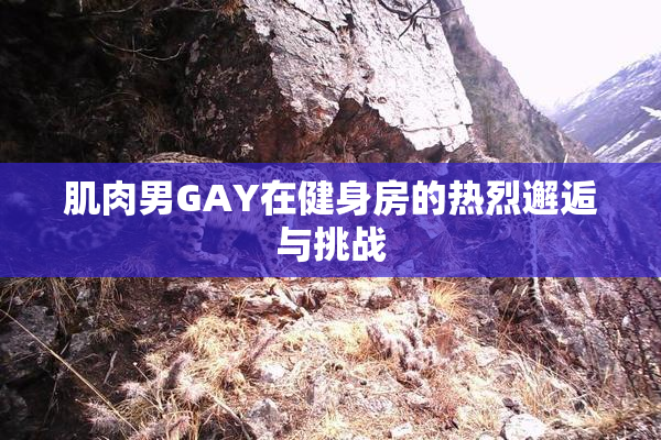 肌肉男GAY在健身房的热烈邂逅与挑战