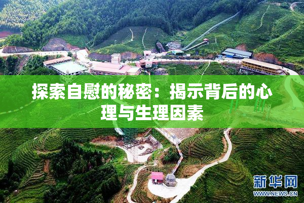 探索自慰的秘密：揭示背后的心理与生理因素