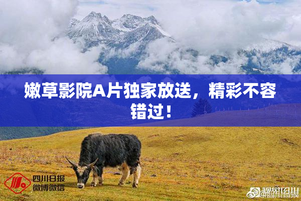 嫩草影院A片独家放送，精彩不容错过！