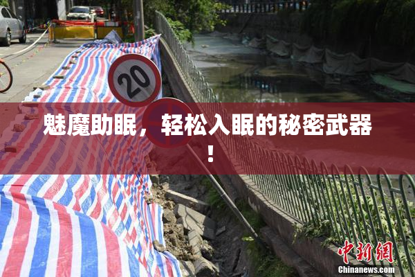 魅魔助眠，轻松入眠的秘密武器！