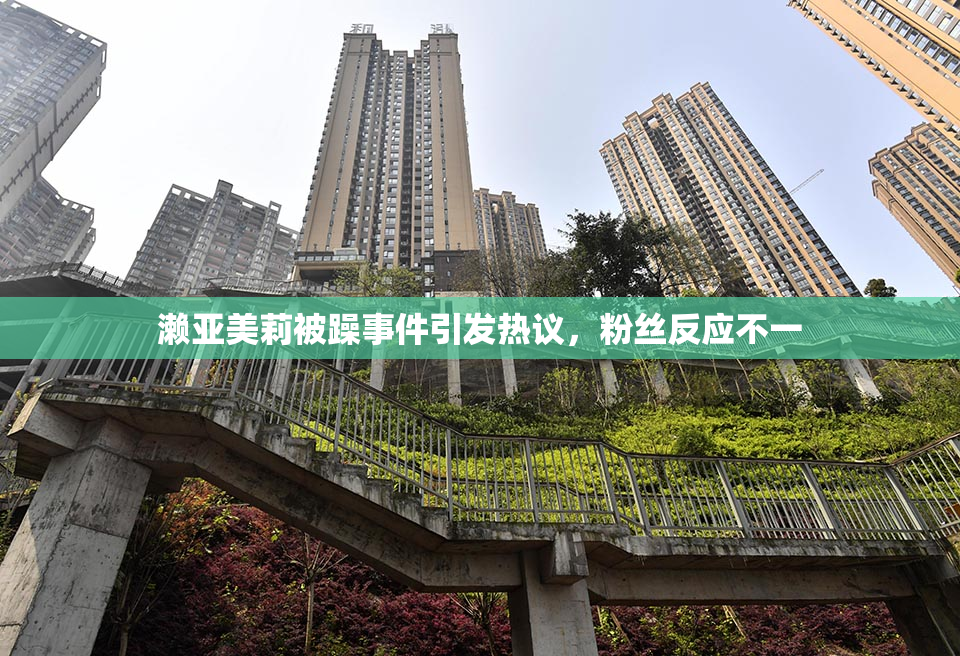 濑亚美莉被躁事件引发热议，粉丝反应不一