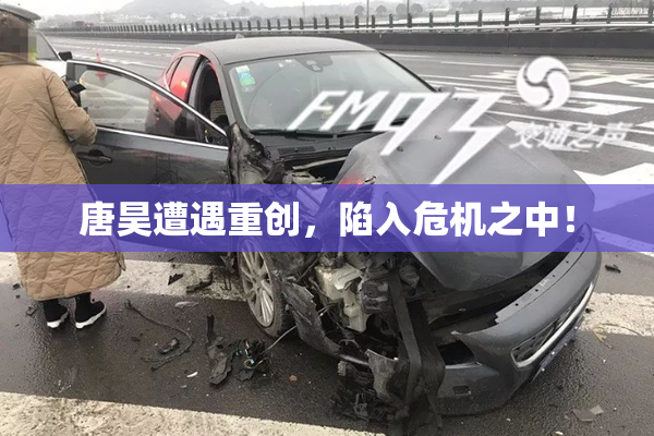 唐昊遭遇重创，陷入危机之中！