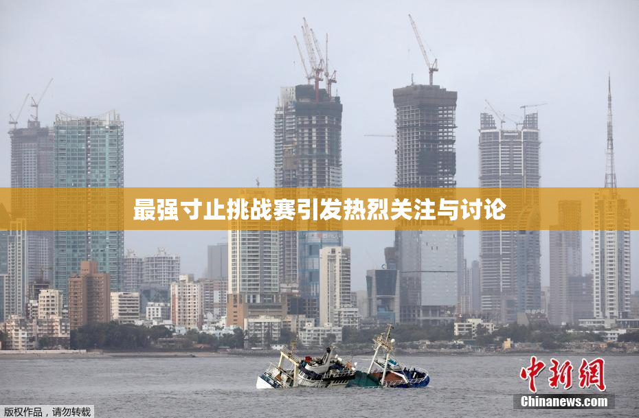 最强寸止挑战赛引发热烈关注与讨论
