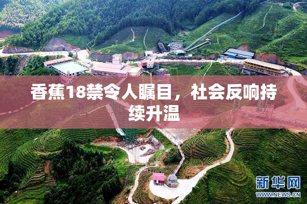香蕉18禁令人瞩目，社会反响持续升温