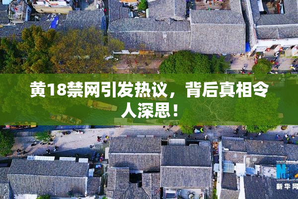 黄18禁网引发热议，背后真相令人深思！