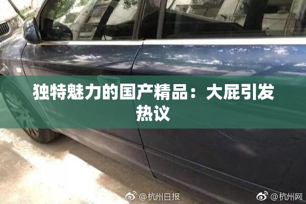 独特魅力的国产精品：大屁引发热议