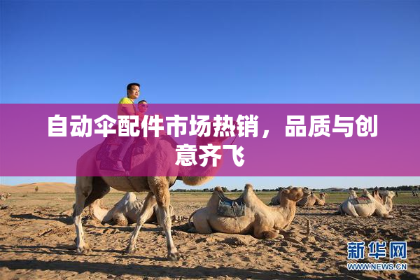 自动伞配件市场热销，品质与创意齐飞