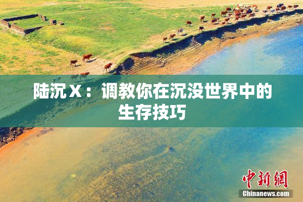 陆沉Ⅹ：调教你在沉没世界中的生存技巧