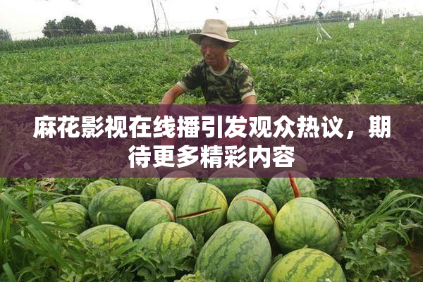 麻花影视在线播引发观众热议，期待更多精彩内容