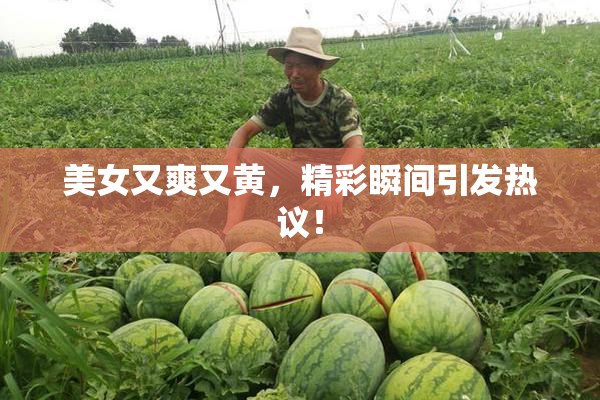 美女又爽又黄，精彩瞬间引发热议！