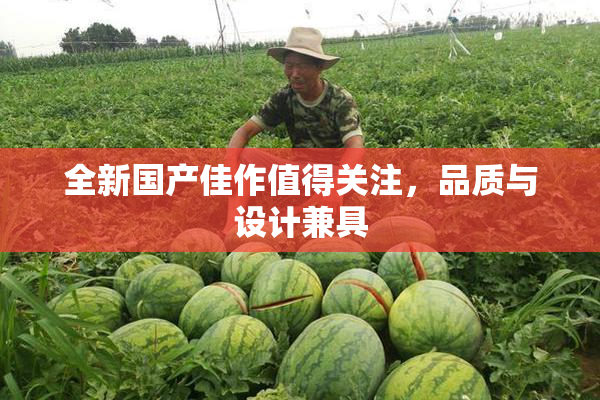 全新国产佳作值得关注，品质与设计兼具