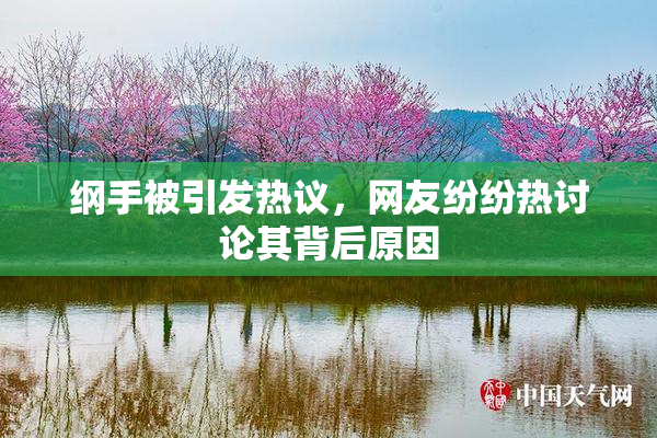 纲手被引发热议，网友纷纷热讨论其背后原因