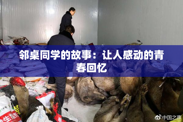 邻桌同学的故事：让人感动的青春回忆