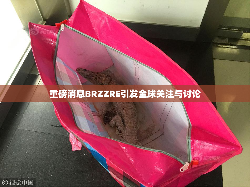 重磅消息BRZZRE引发全球关注与讨论