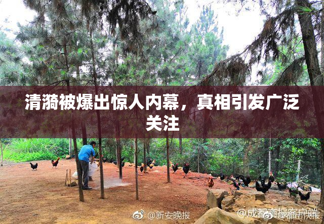 清漪被爆出惊人内幕，真相引发广泛关注