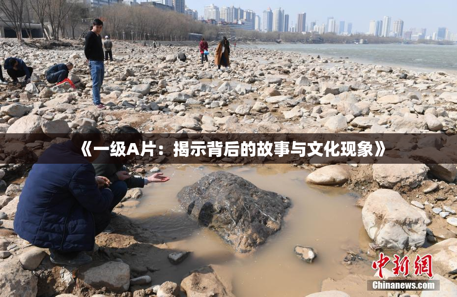 《一级A片：揭示背后的故事与文化现象》