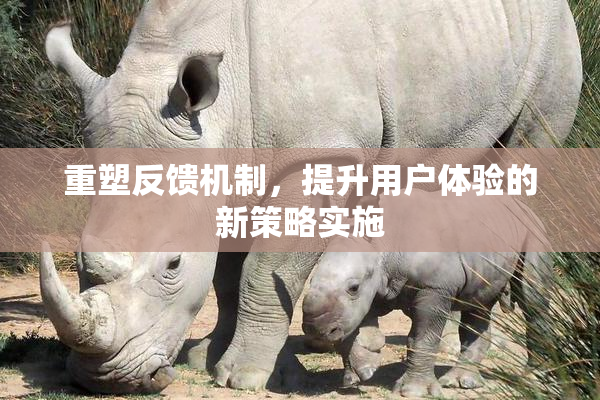 重塑反馈机制，提升用户体验的新策略实施