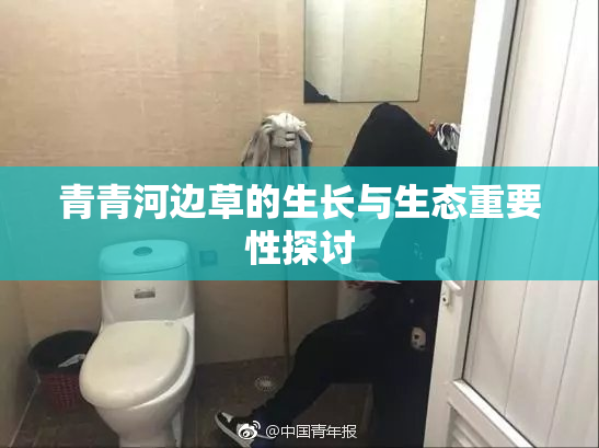 青青河边草的生长与生态重要性探讨