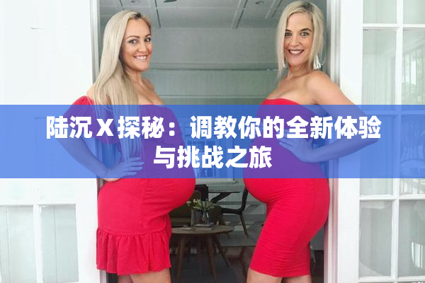 陆沉Ⅹ探秘：调教你的全新体验与挑战之旅