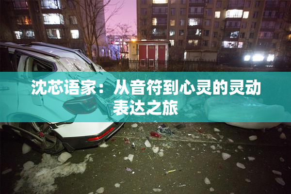 沈芯语家：从音符到心灵的灵动表达之旅