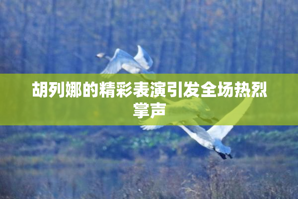 胡列娜的精彩表演引发全场热烈掌声