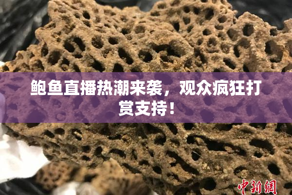 鲍鱼直播热潮来袭，观众疯狂打赏支持！