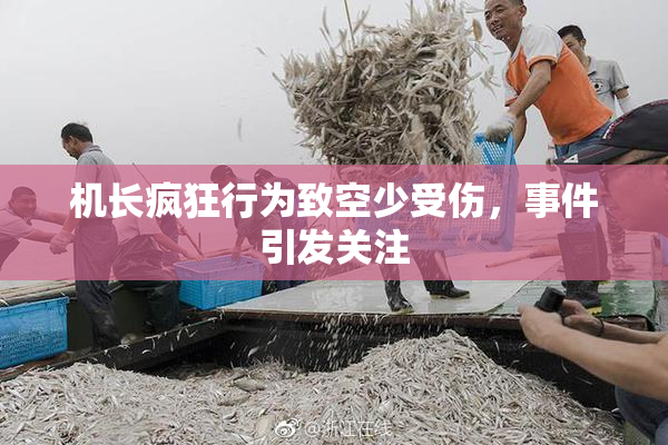 机长疯狂行为致空少受伤，事件引发关注