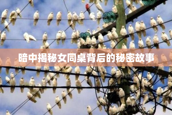 暗中揭秘女同桌背后的秘密故事