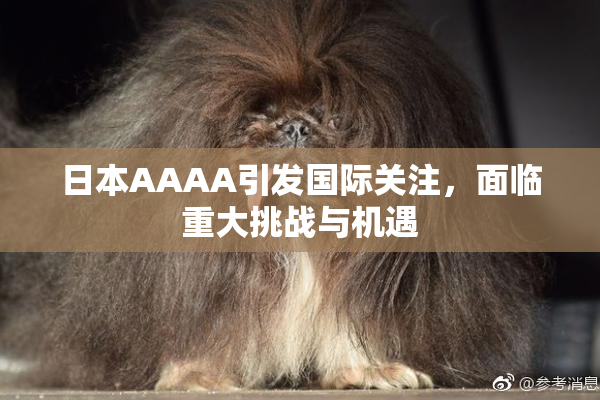 日本AAAA引发国际关注，面临重大挑战与机遇