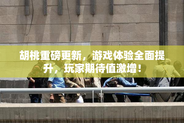 胡桃重磅更新，游戏体验全面提升，玩家期待值激增！