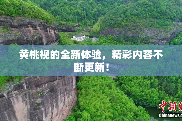 黄桃视的全新体验，精彩内容不断更新！
