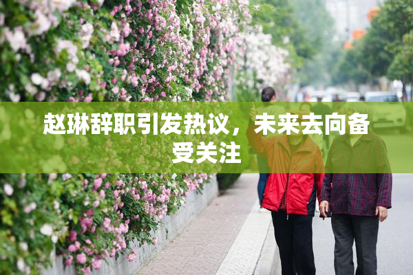 赵琳辞职引发热议，未来去向备受关注