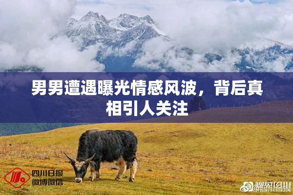 男男遭遇曝光情感风波，背后真相引人关注
