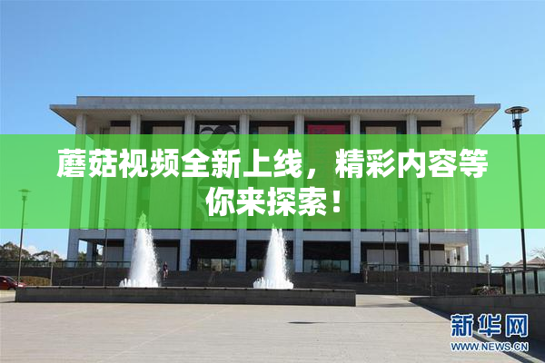 蘑菇视频全新上线，精彩内容等你来探索！