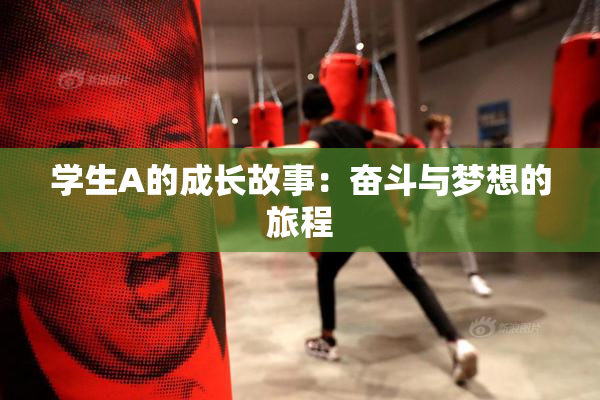 学生A的成长故事：奋斗与梦想的旅程