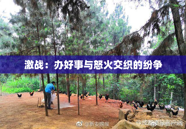 激战：办好事与怒火交织的纷争