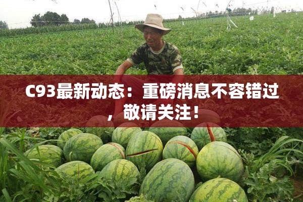 C93最新动态：重磅消息不容错过，敬请关注！