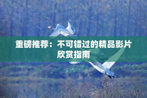 重磅推荐：不可错过的精品影片欣赏指南
