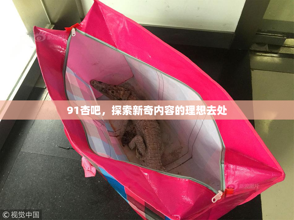 91杏吧，探索新奇内容的理想去处